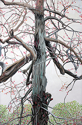 Budding
